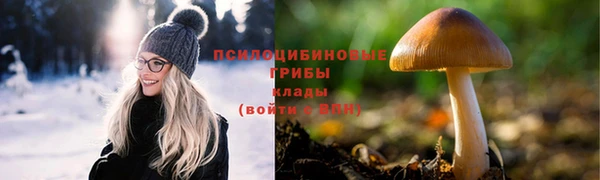 шишки Россошь