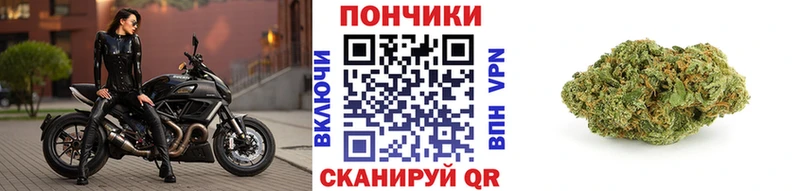 Бошки Шишки ГИДРОПОН  даркнет сайт  Алушта 